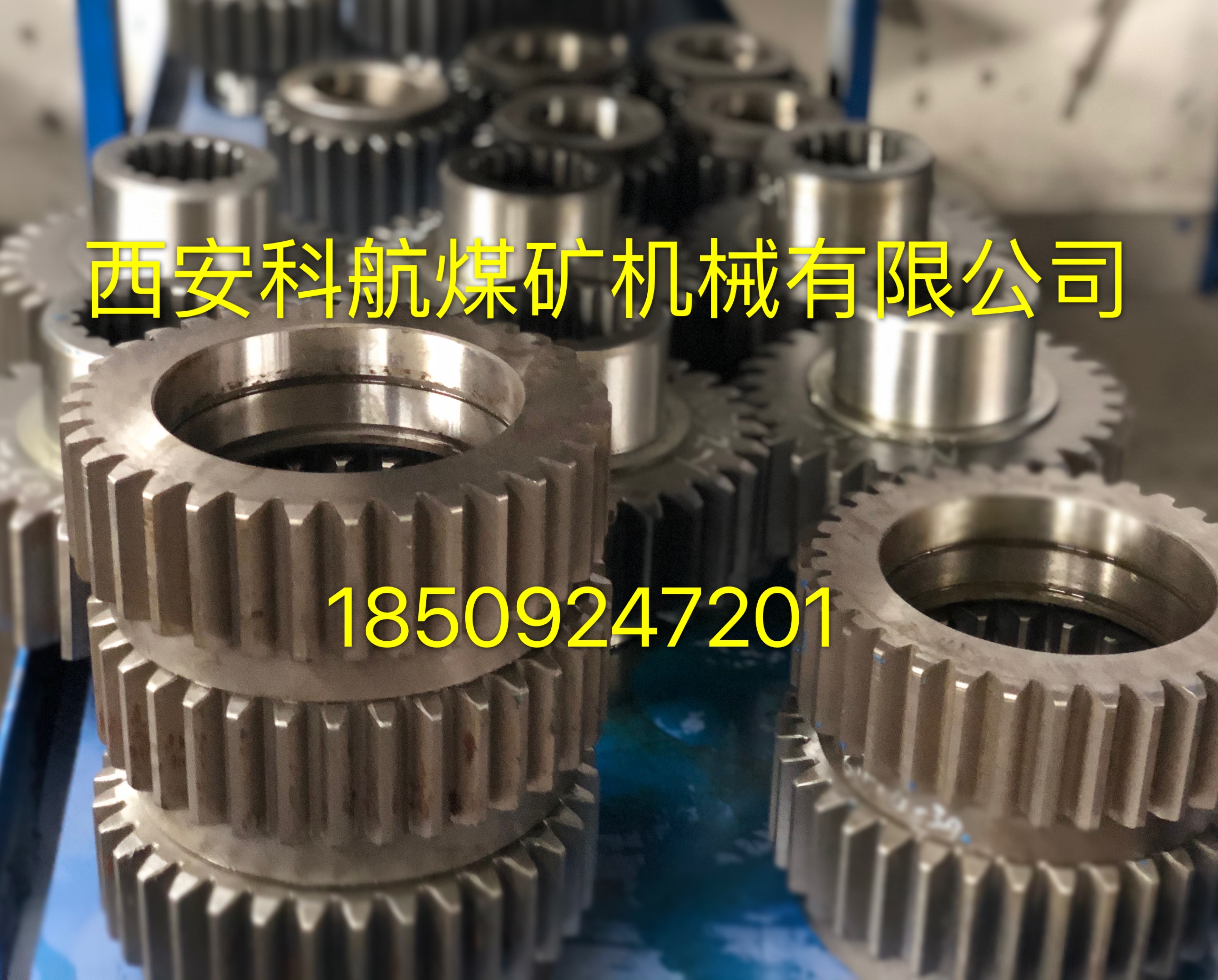 �c���鿴Ԕ��